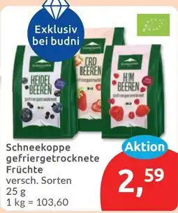 Budni Schneekoppe gefriergetrocknete Früchte Angebot