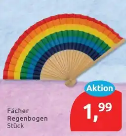 Budni Fächer Regenbogen Angebot