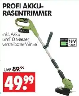 Wreesmann PROFI AKKU-RASENTRIMMER Angebot