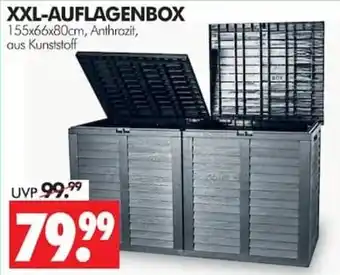 Wreesmann XXL-AUFLAGENBOX Angebot