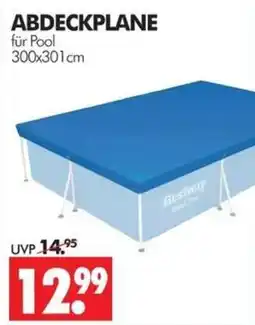 Wreesmann ABDECKPLANE für Pool Bestway Angebot