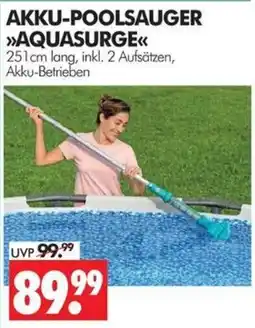 Wreesmann AKKU-POOLSauger »AQUASURGE« Angebot
