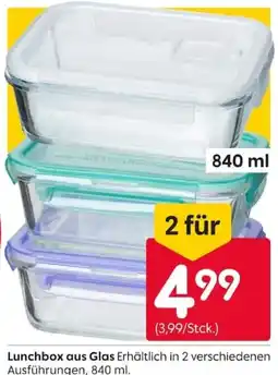 Rusta Lunchbox aus Glas Angebot