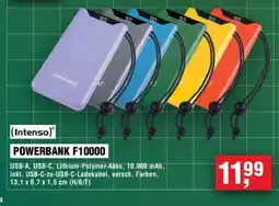 Handelshof Intenso POWERBANK F10000 Angebot