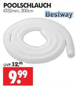 Wreesmann POOLSCHLAUCH Bestway Angebot