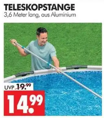Wreesmann TELESKOPSTANGE Angebot