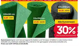 Rusta Alle Kunstrasen Angebot
