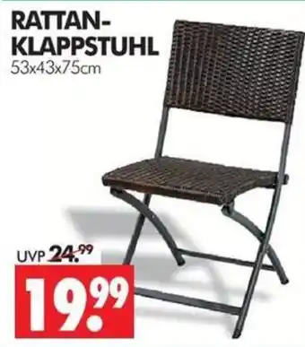 Wreesmann RATTAN-KLAPPSTUHL Angebot