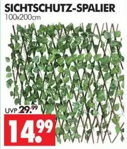Wreesmann Sichtschutz-Spalier Angebot