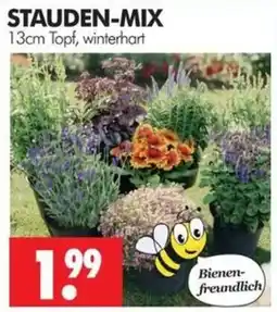Wreesmann STAUDEN-MIX Angebot