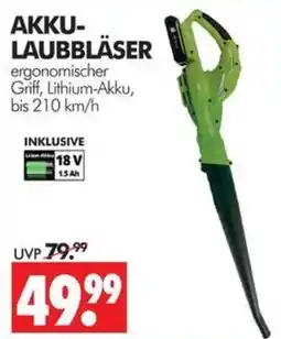 Wreesmann AKKU-LAUBBLÄSER Angebot