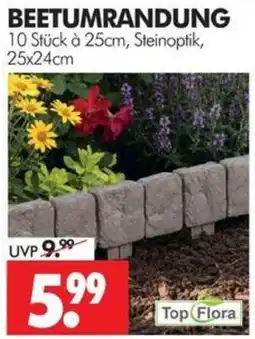 Wreesmann BEETUMRANDUNG Top Flora Angebot