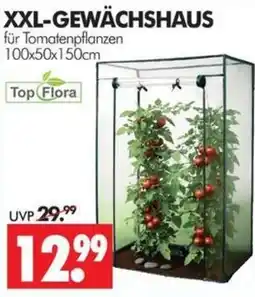 Wreesmann XXL-Gewächshaus für Tomatenpflanzen Top Flora Angebot