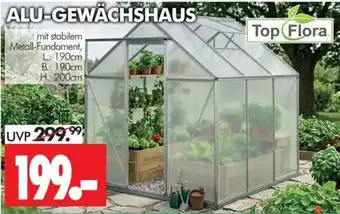 Wreesmann ALU-GEWÄCHSHAUS Top Flora Angebot