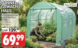 Wreesmann TUNNEL-GEWÄCHS-HAUS Top Flora Angebot