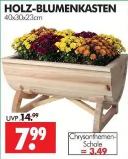 Wreesmann HOLZ-BLUMENKASTEN Angebot