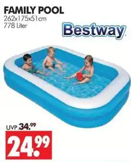 Wreesmann Family Pool Bestway Angebot