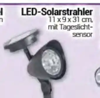 CENTERSHOP Led-Solarstrahler 11 x 9 x 31 cm Angebot