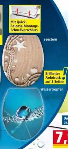 Norma Seestern Angebot