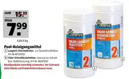 Hagebau Mr. Gardener Pool-Reinigungsmittel Angebot