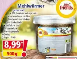 Norma Mehlwürmer little friends Angebot