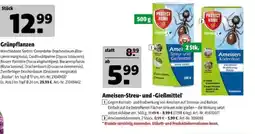 Hagebau Protect Home Ameisen Streu- und Gießmittel Angebot