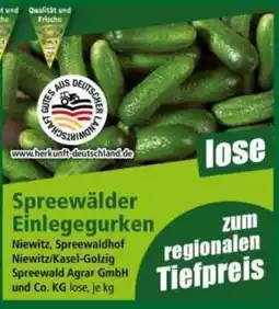 Norma Spreewälder Einlegegurken Angebot