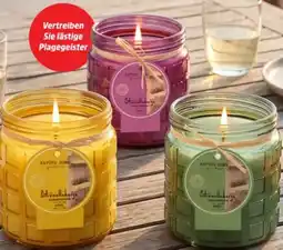 Thomas Philipps Duftkerze Citronella Angebot