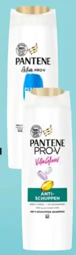 Thomas Philipps Pantene Pro-V Shampoo Angebot