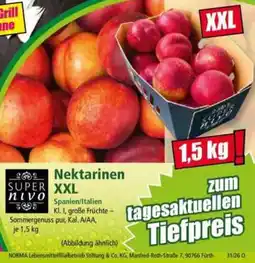 Norma SUPER nivo Nektarinen XXL Angebot