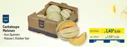 METRO Cantaloupe Melonen Angebot