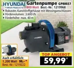 Norma Gartenpumpe GP80037 Angebot