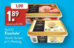 Aldi Süd MUCCI Eisschale Angebot