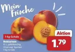 Combi Nektarinen Angebot