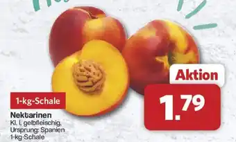 Famila Nord West Nektarinen Angebot