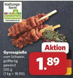 Combi Gyrosspieße vom Schwein Angebot