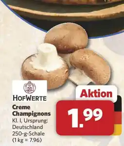 Combi HOFWERTE Creme Champignons Angebot