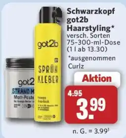 Combi Schwarzkopf got2b Haarstyling Angebot