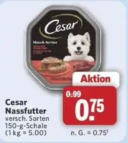 Combi Cesar Nassfutter Angebot