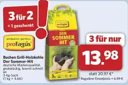 Combi Buchen Grill-Holzkohle Der Sommer-Hit Angebot