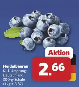 Combi Heidelbeeren Angebot