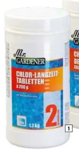 Hagebau Mr. Gardener Chlortabletten Langzeit Angebot