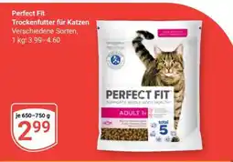 Globus PERFECT FIT Angebot