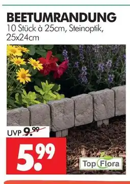 Wreesmann Top flora beetumrandung Angebot