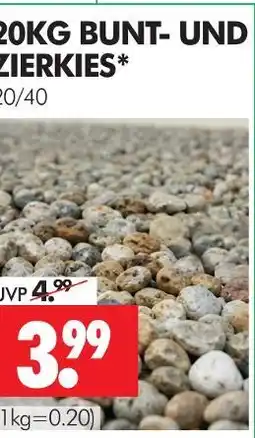 Wreesmann Bunt- und zierkies Angebot