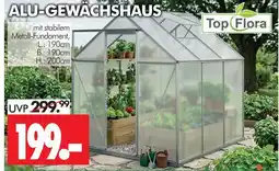 Wreesmann Top flora alu-gewächshaus Angebot