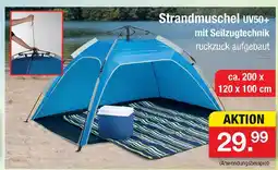 Zimmermann Strandmuschel uv50+ Angebot