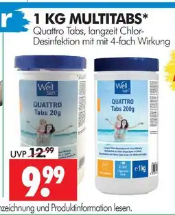 Wreesmann Well san quattro tabs Angebot