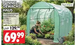 Wreesmann Top flora tunnel-gewächs-haus Angebot