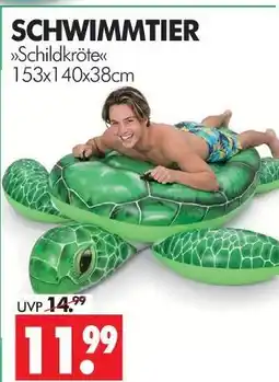 Wreesmann Schildkröte Angebot